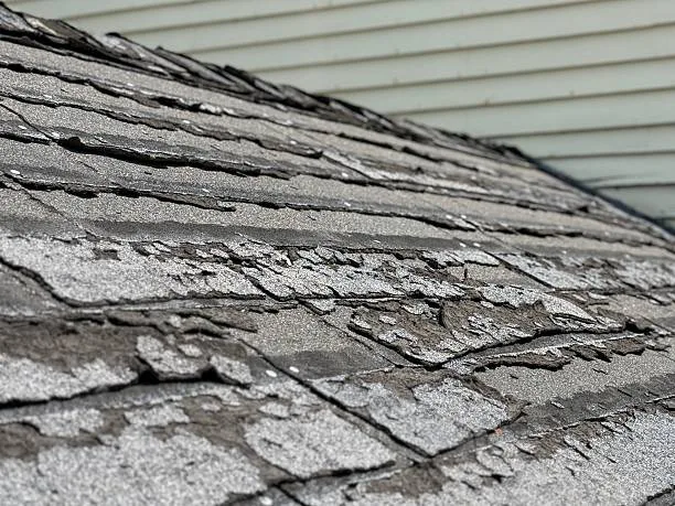 Damaged Roof Shingles
